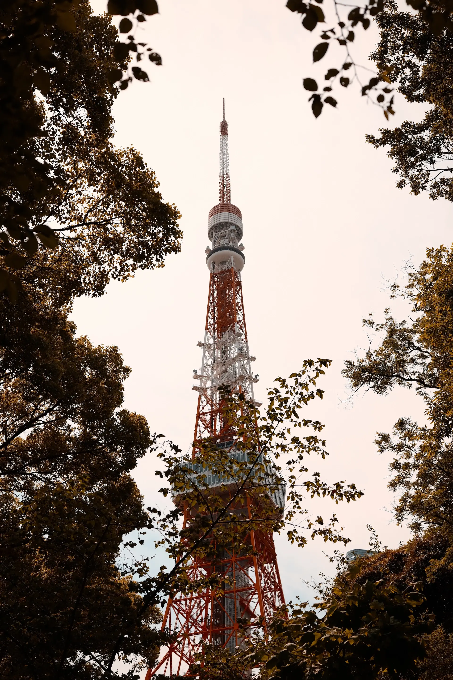 Photo https://assets.bastianbrouwers.dev/gallery14.webp