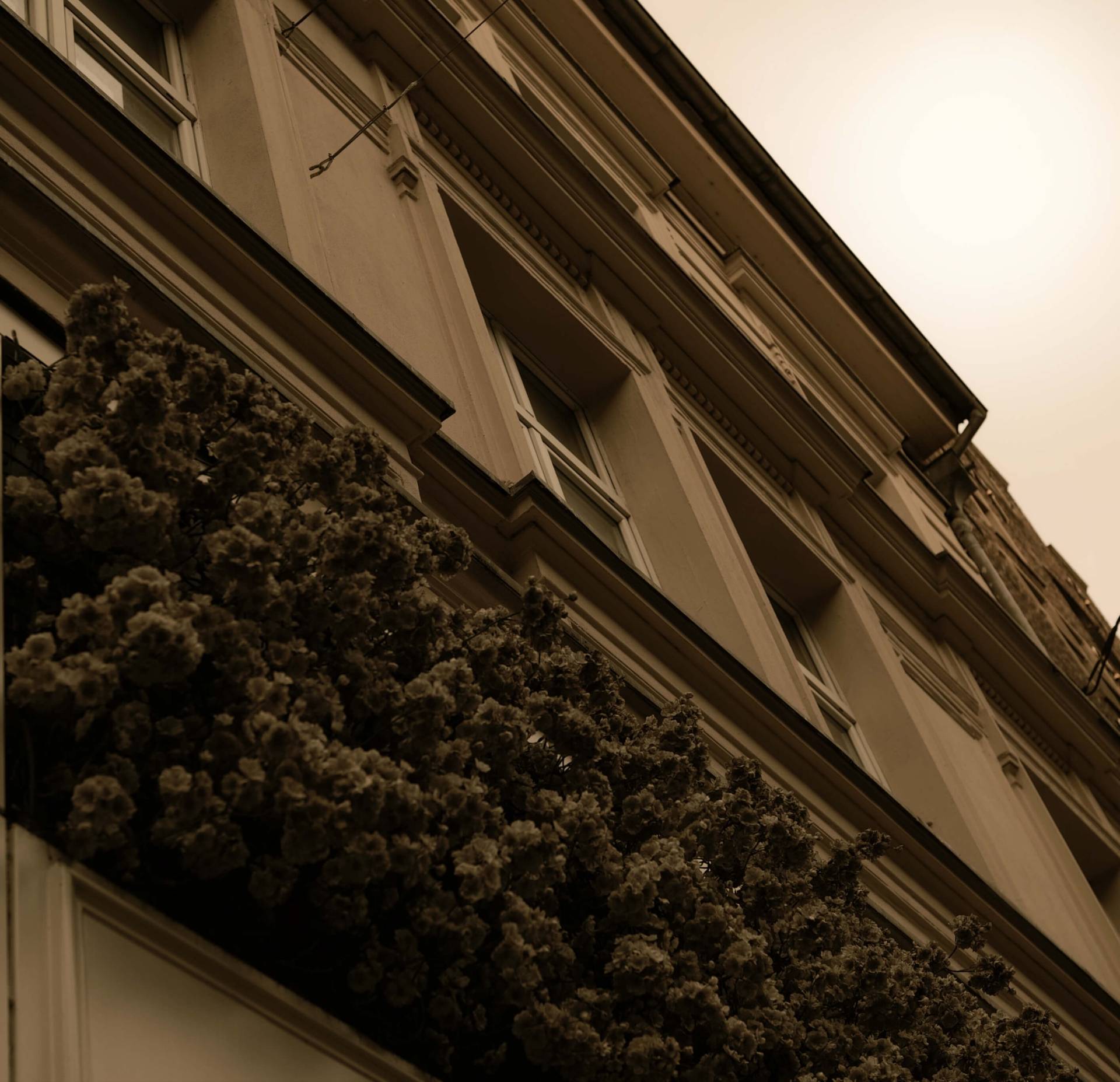 Photo https://assets.bastianbrouwers.dev/gallery2.jpg