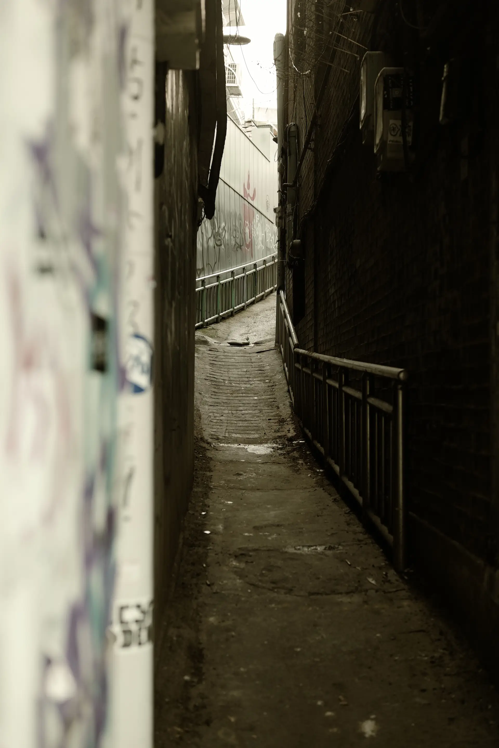 Photo https://assets.bastianbrouwers.dev/gallery39.webp